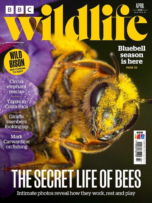 Title details for BBC Wildlife Magazine by Our Media Limited - Available